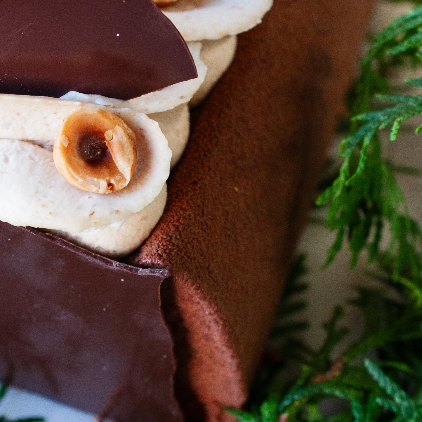 Bûche Chocolat Alunga 41% • Noisette • Citron